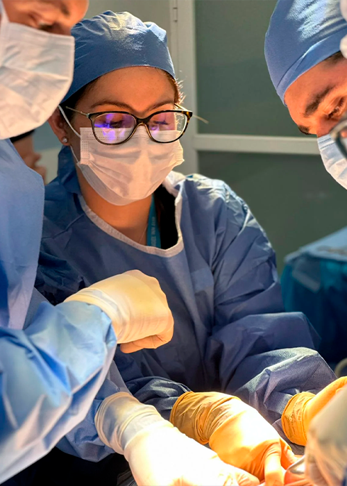 Galería de imagen 3