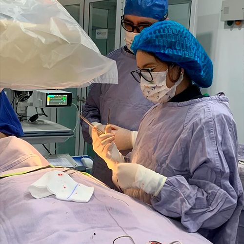 Galería de imagen 4