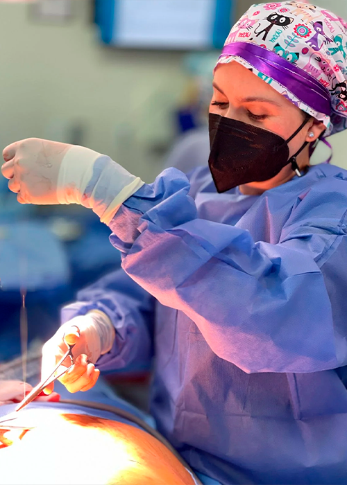 Galería de imagen 6