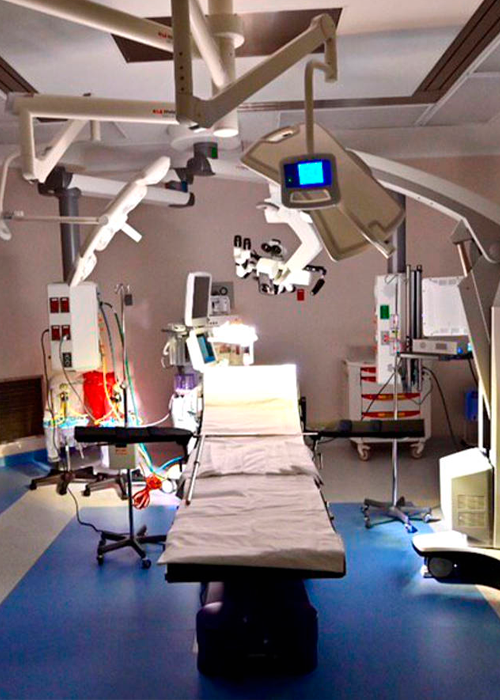 Galería de imagen 7